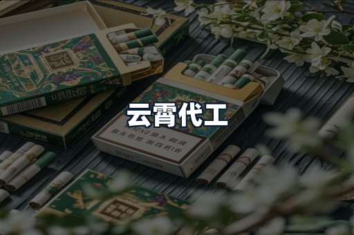 云霄代工